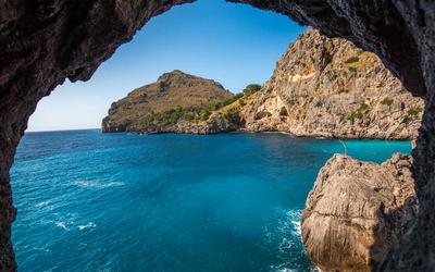 Love and Care COVID Relief