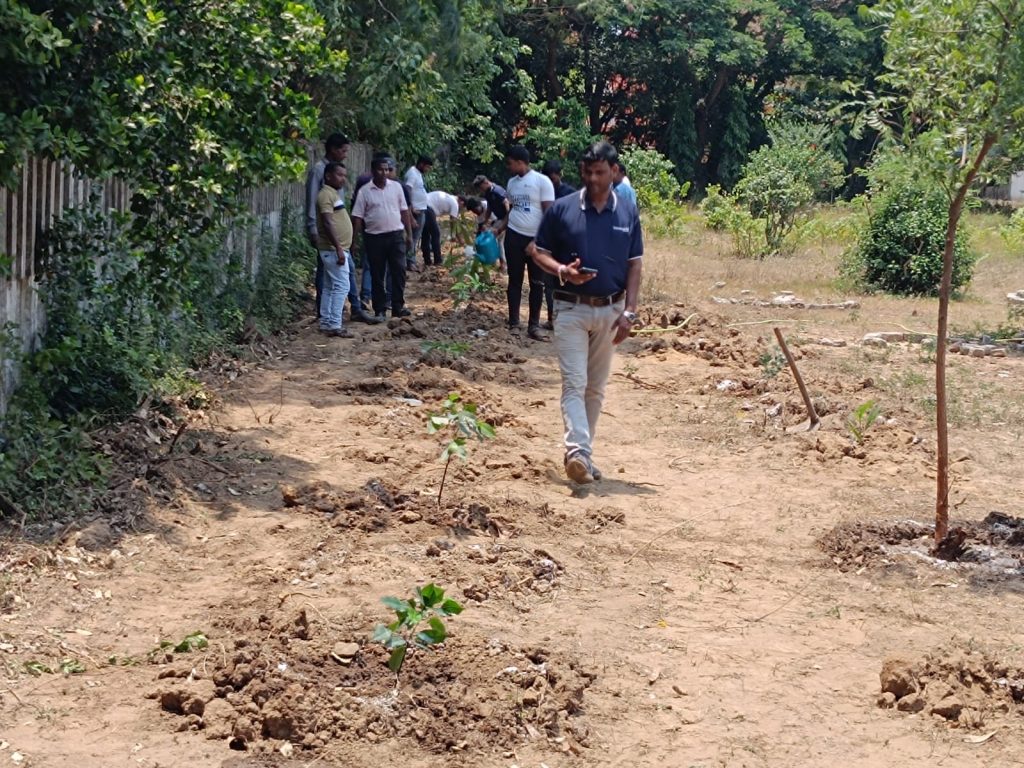 tree plantation Odisha