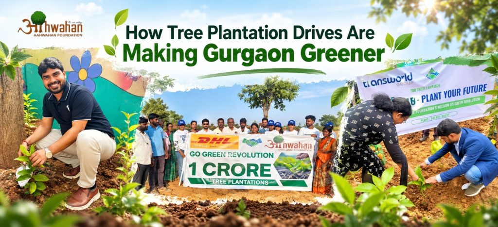 How Tree Plantation Drives Are Making Gurgaon Greener